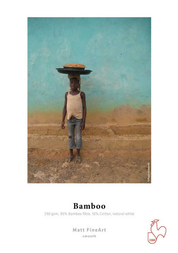 Hahnemuhle - Bamboo 290 gsm, 11"x17", 25 sheets (Special Order)