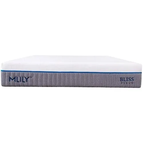 MLILY Bliss Double AirFoam Mattress